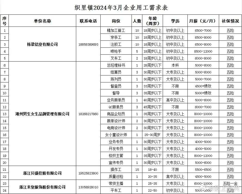 织里人才市场最新招工动态深度剖析