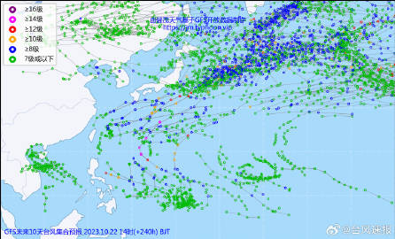 最新台风网动态分析与预测
