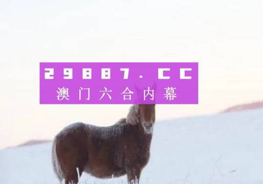 澳门今晚一肖必中特,快速响应策略方案_经典款13.702