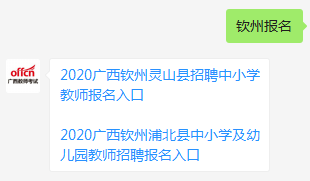 钦州招聘最新动态与就业市场分析概览