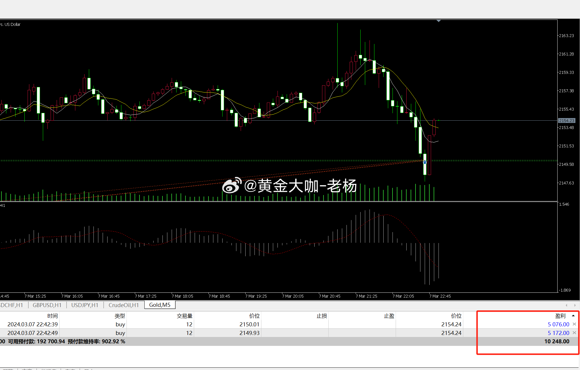 7777788888一肖一码,多元化策略执行_bundle52.390