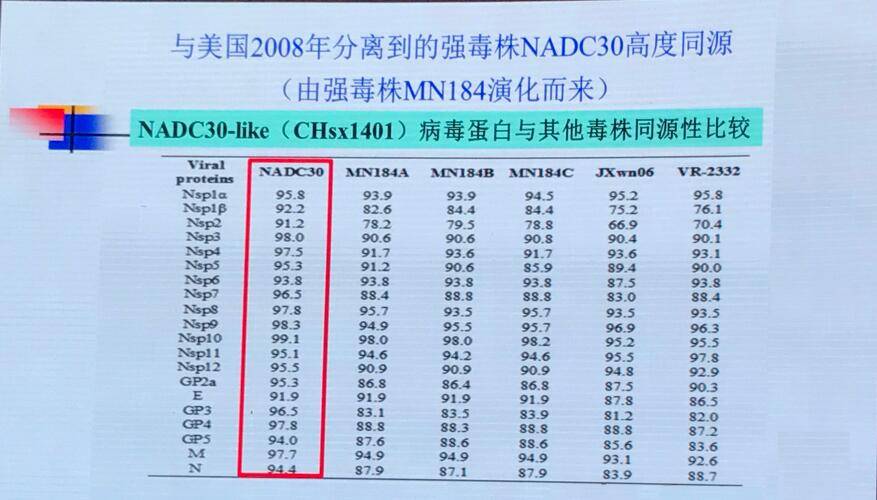 黄大仙三期内必开一肖,快速设计问题计划_WP39.628