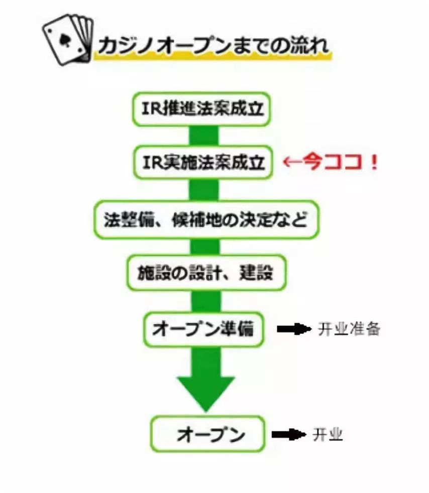 澳门最精准免费资料大全旅游团,实用性执行策略讲解_PalmOS34.703