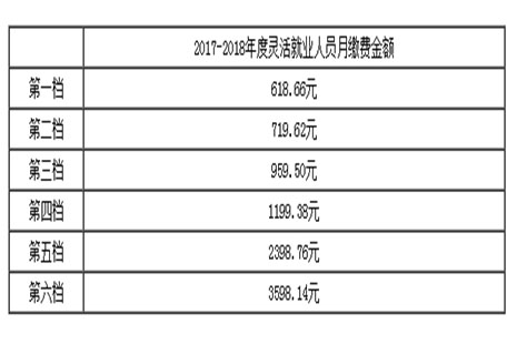 最新社保缴费比例深度解析及未来影响展望