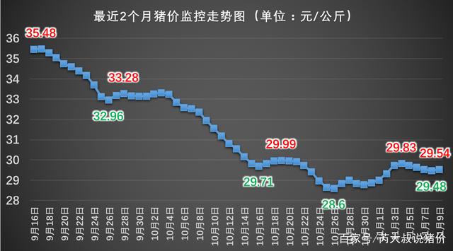 今日全国最新猪价分析与未来展望