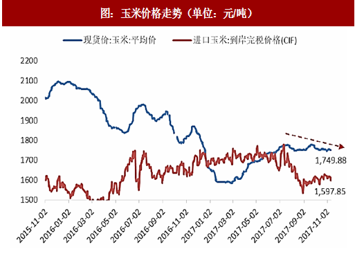 玉米价格最新行情走势解析