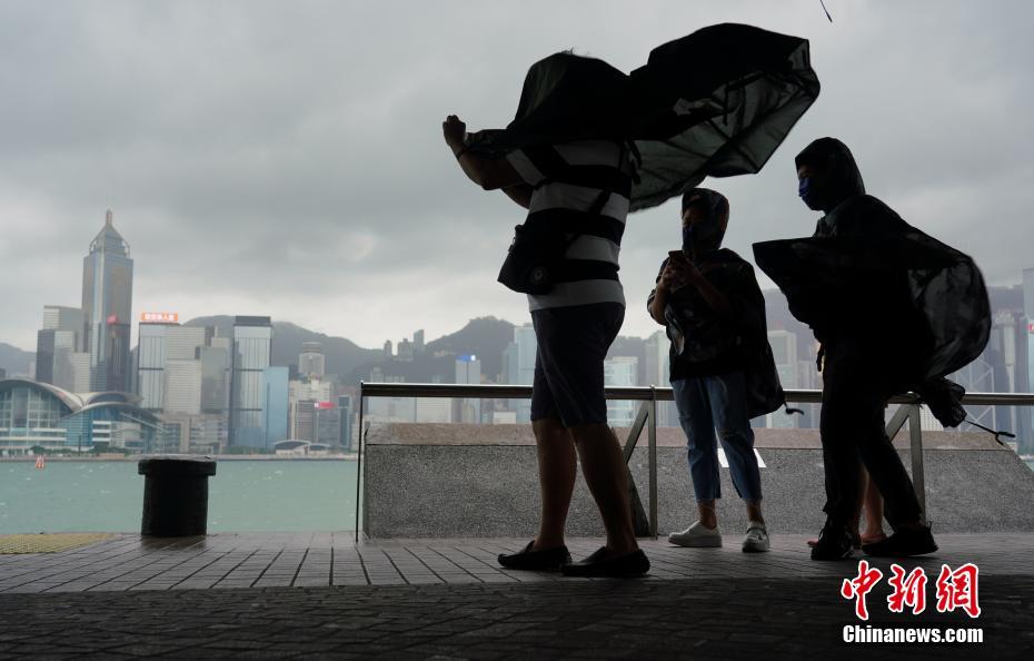 香港台风最新动态，全方位应对措施保障安全