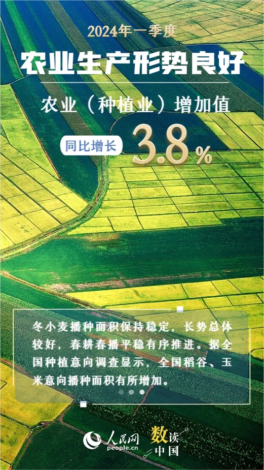 澳门一肖一码一一特一中,数据资料解释落实_V37.118