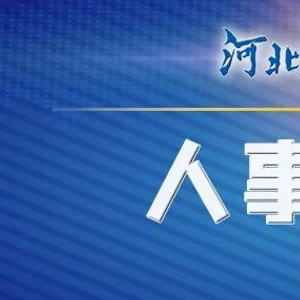 河北省最新人事任免动态