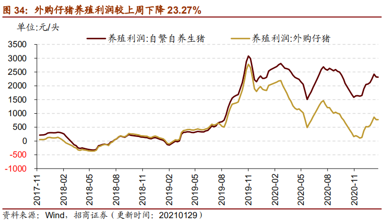 新澳开奖历史记录查询,适用性策略设计_免费版73.153