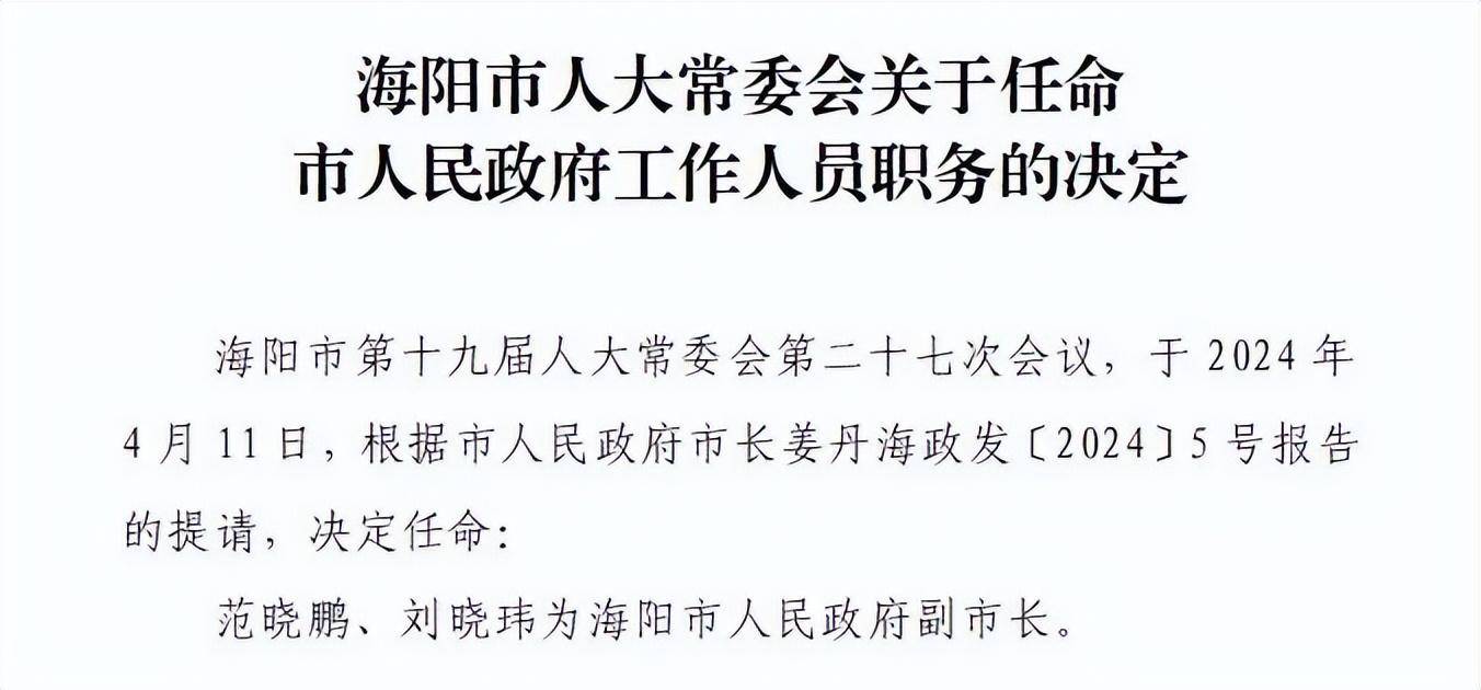 青岛最新人事任免动态及其深远影响的全面解读