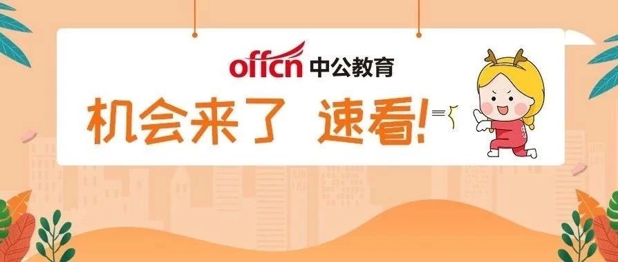 师宗招聘网最新招聘动态深度解析及解读