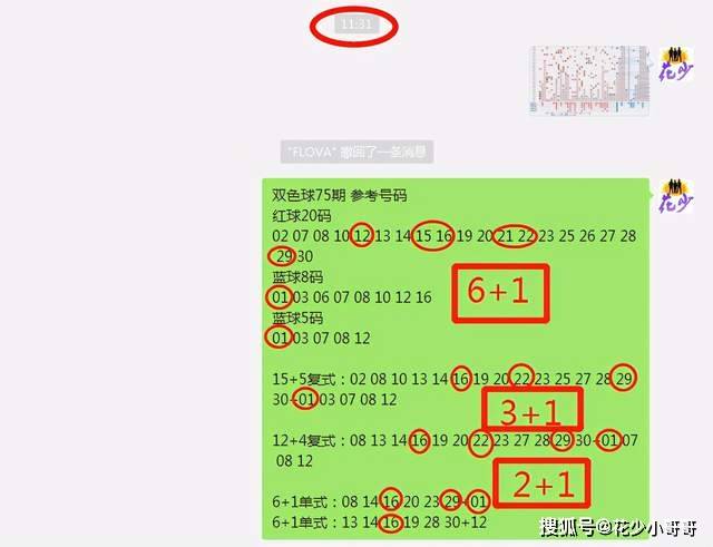 白小姐今晚特马期期准六,可靠性策略解析_Lite56.937