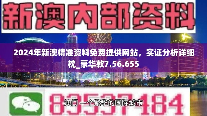 2024新澳最精准资料,数据支持执行策略_FT66.164