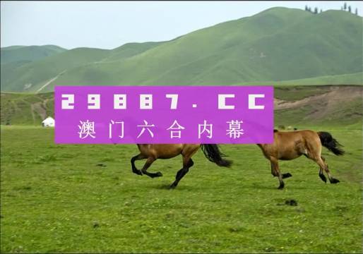 澳门跑狗,快捷问题方案设计_2D35.951