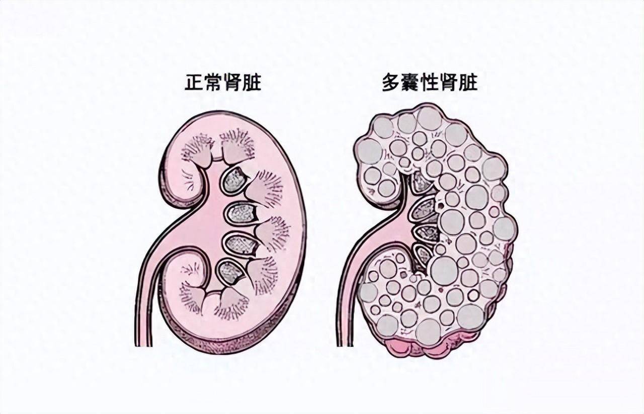 公司简介 第131页