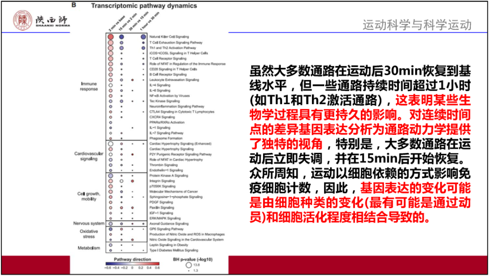 香港正版资料全年免费公开一,决策资料解释落实_FHD版75.944