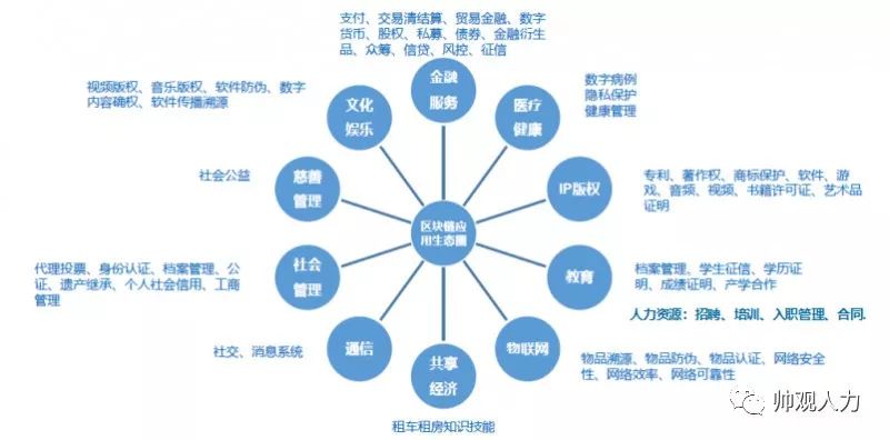 2024今晚澳门开特马,精细化策略定义探讨_soft68.233