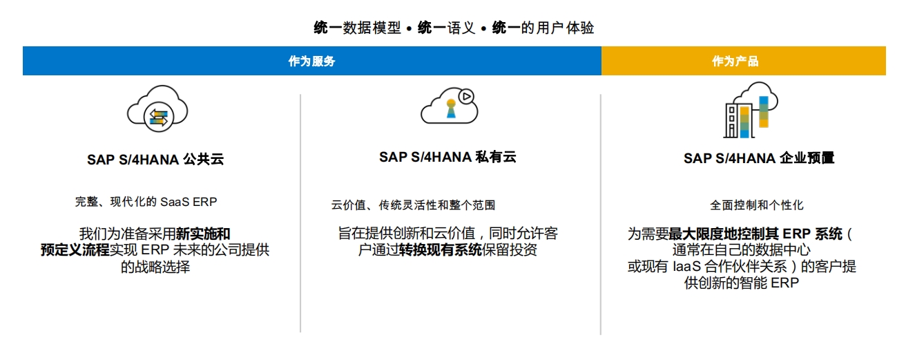 SAP最新版本，企业数字化转型的引领者