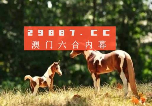 澳门跑狗,合理决策评审_模拟版17.660