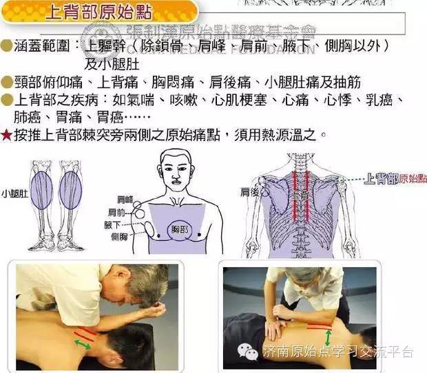 医学新领域探索案例，原始点重塑健康未来