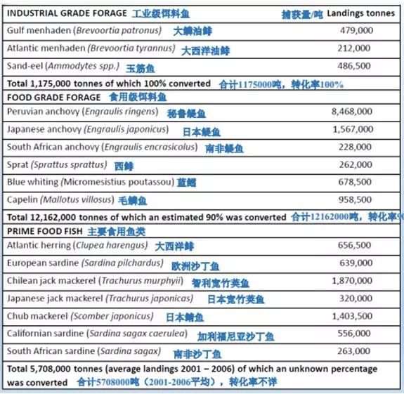 新澳天天开奖资料大全1050期,实地数据评估执行_纪念版65.498