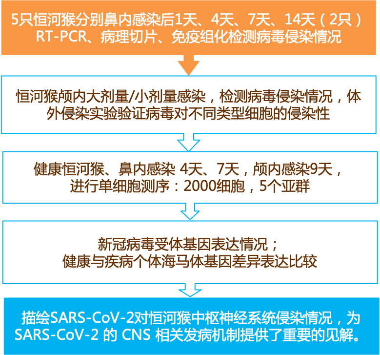 濠江论坛2024年免费资料,实效性策略解读_体验版56.567