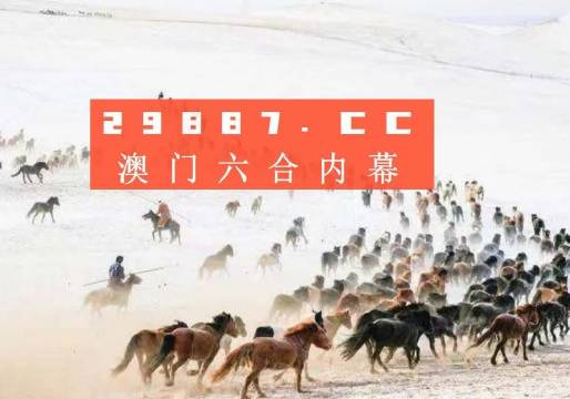 新澳门彩4949最新开奖记录,实地验证分析数据_W82.42