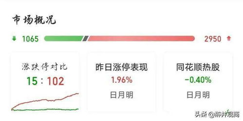 任向敏最新持股全景解析，深度探讨、前景展望