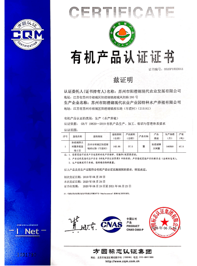 2024今晚澳门开特马新澳门,实证解读说明_领航款72.854