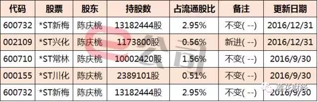 ST常林最新进展引领行业变革，迈向未来新篇章