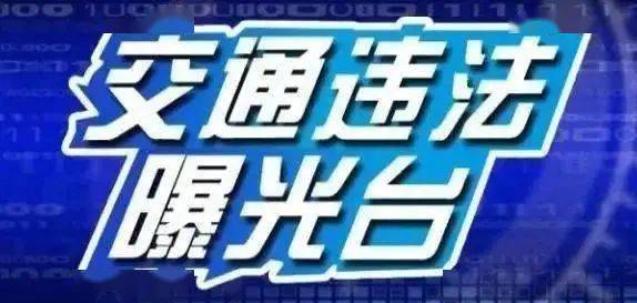 陆丰东海最新招聘信息详解及深度解读