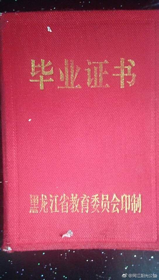 黑龙江未分大中专最新动态，发展走向与影响分析