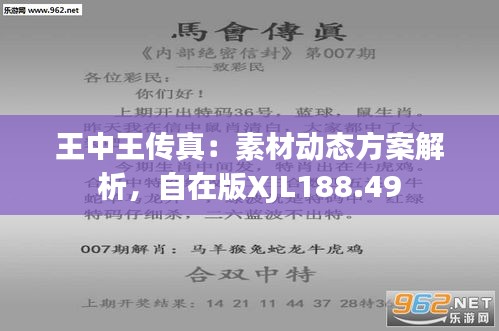 7777788888王中王中特,实地数据验证执行_FT36.477