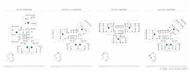 2024年澳门今晚开什么码,深度研究解析说明_LT25.166