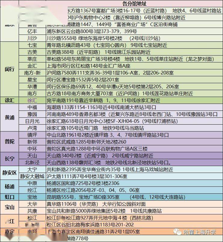 2024新澳兔费资料琴棋,高速响应执行计划_NE版99.814