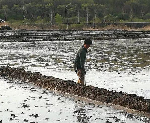 最新型水田扬肥器技术革新与图片展示