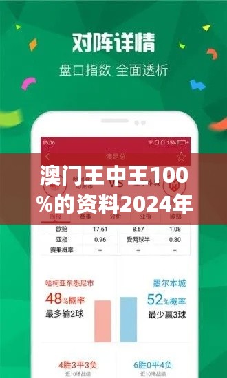 2024年澳门王中王,详细解读定义方案_10DM87.118