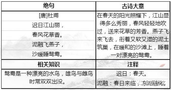 四不像正版+正版四不像,适用计划解析_QHD版56.187