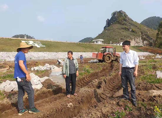 那思镇新项目，先锋力量引领地方发展