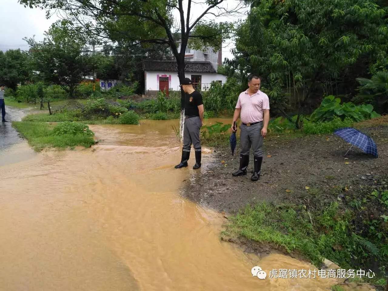 虎踞镇最新消息速递