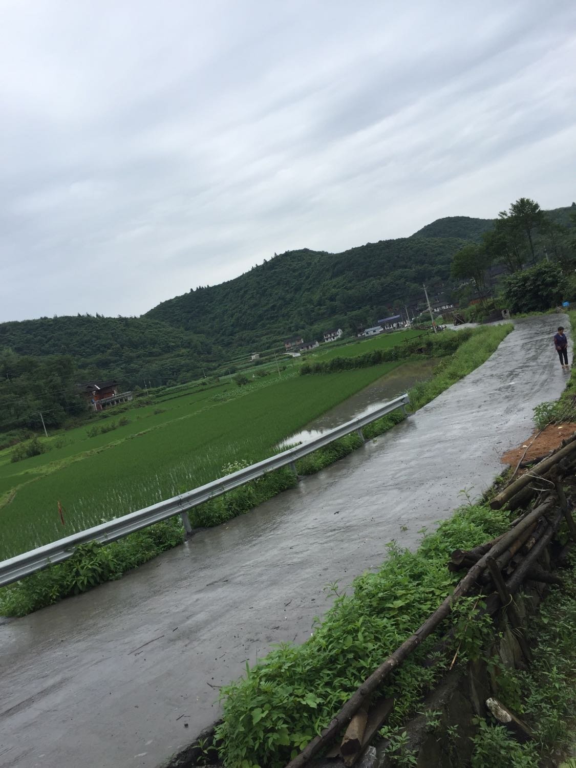 王岔村委会天气预报更新通知