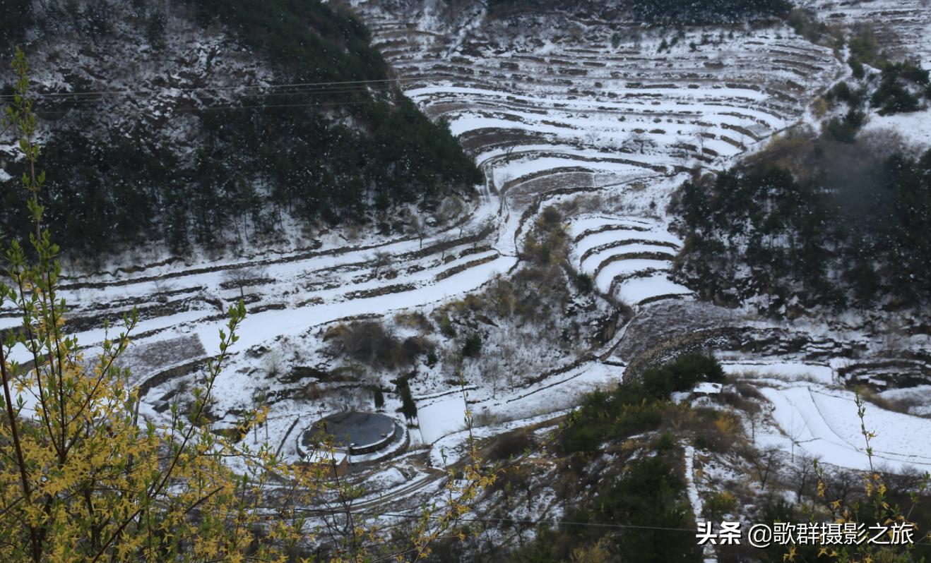 山西省长治市平顺县杏城最新项目，推动地方发展的强大动力源泉