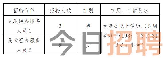 虞城县民政局最新招聘信息全面解析