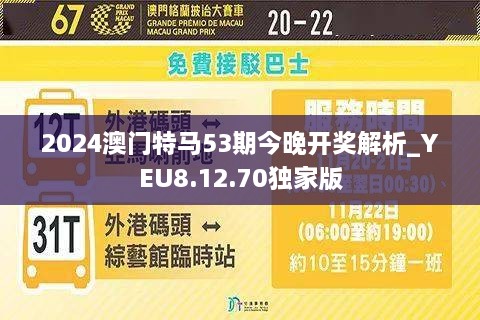 2024年今晚澳门开特马,持续设计解析策略_标准版64.761