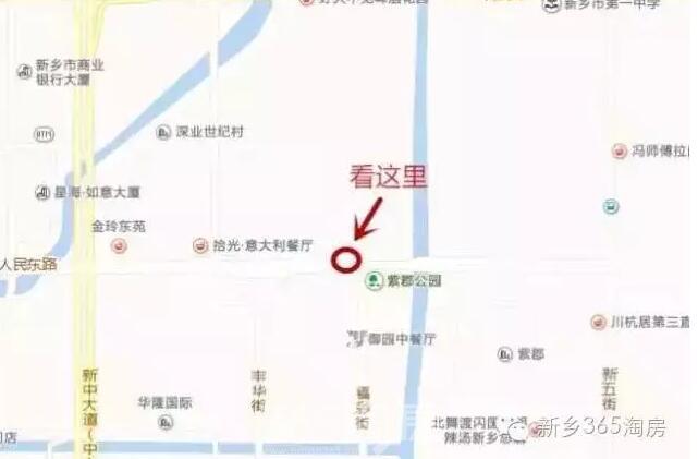 松阳县小学未来教育蓝图，发展规划揭秘