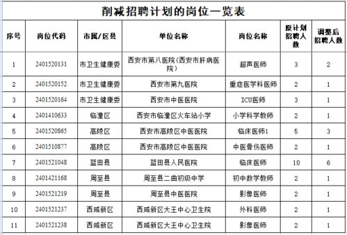 兴城市级托养福利事业单位发展规划展望